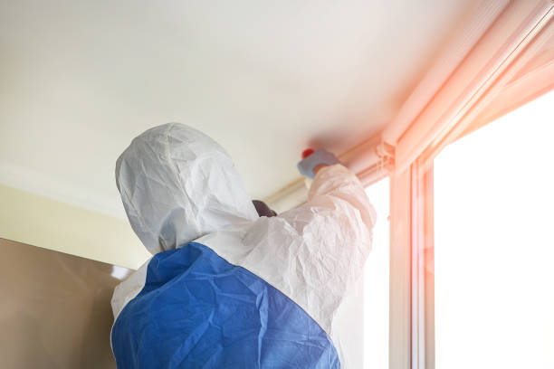 Best Forensic Mold Investigation  in Kewaunee, WI