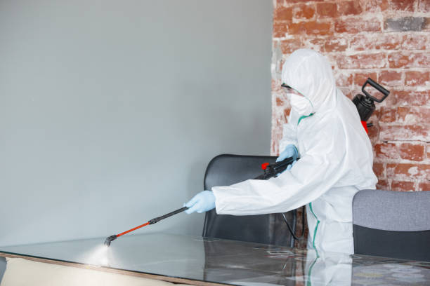 Best Asbestos and Lead Testing During Mold Inspection  in Kewaunee, WI